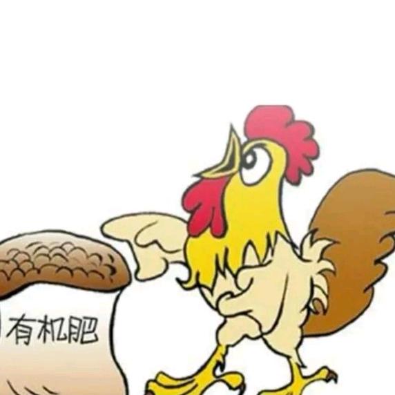 怀远县沃土有机肥