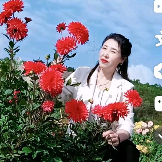 快乐每一天