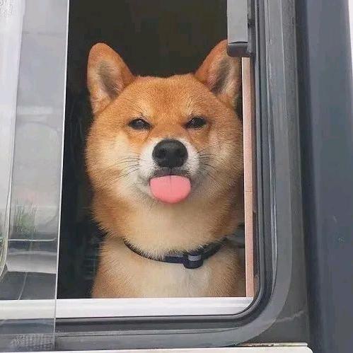 坐杀搏徒