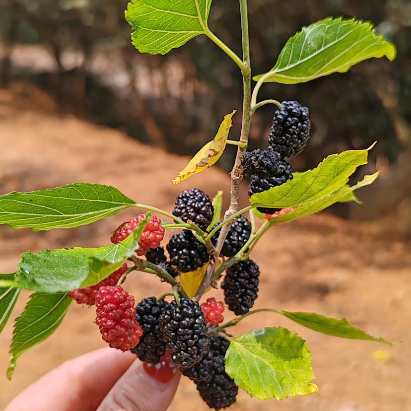 难以忘记，，，，