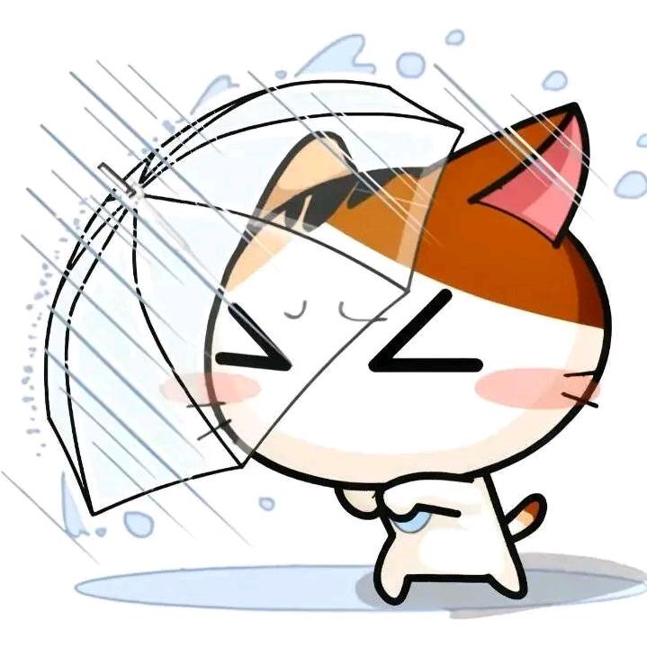 koiiii