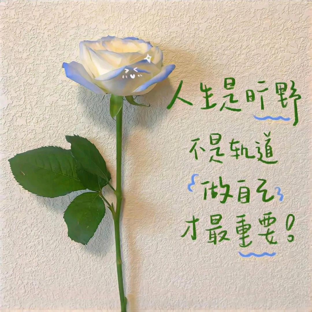 麻有烦恼