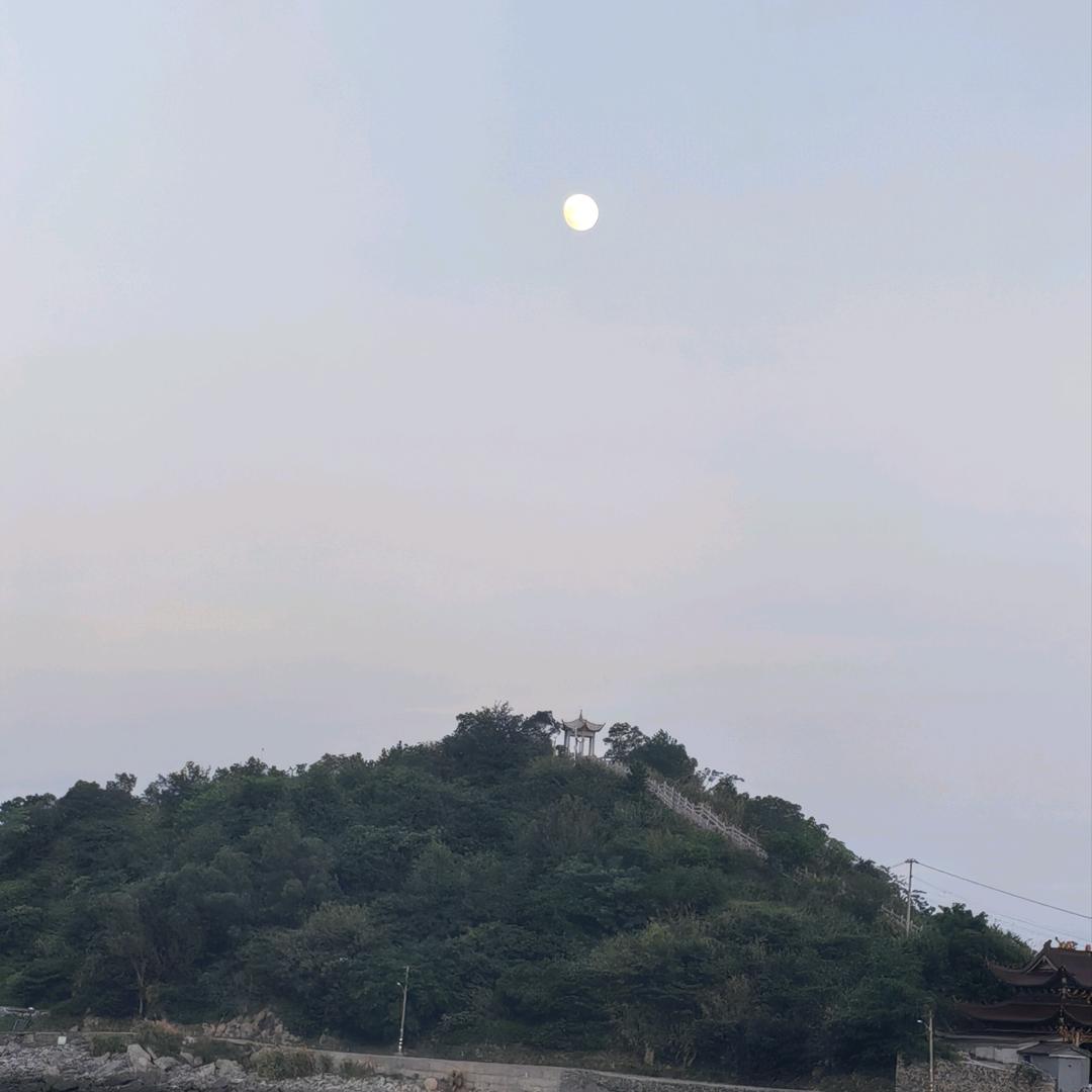 寒雨暖冬