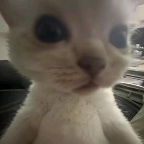 命苦