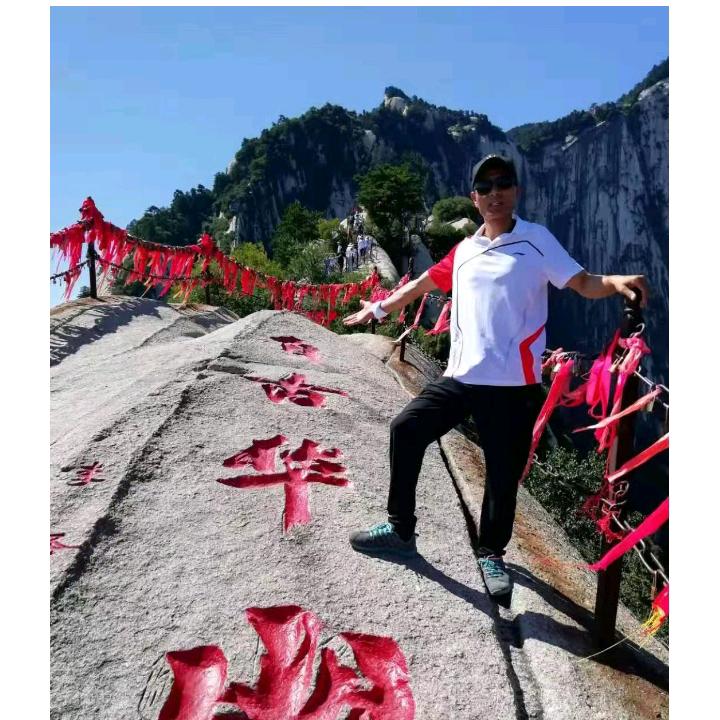 琴心剑胆