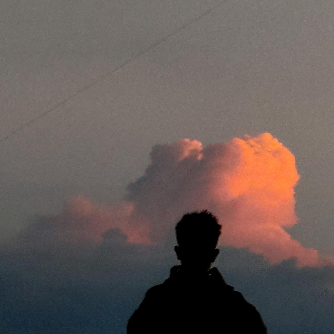 哦不是艺术家。