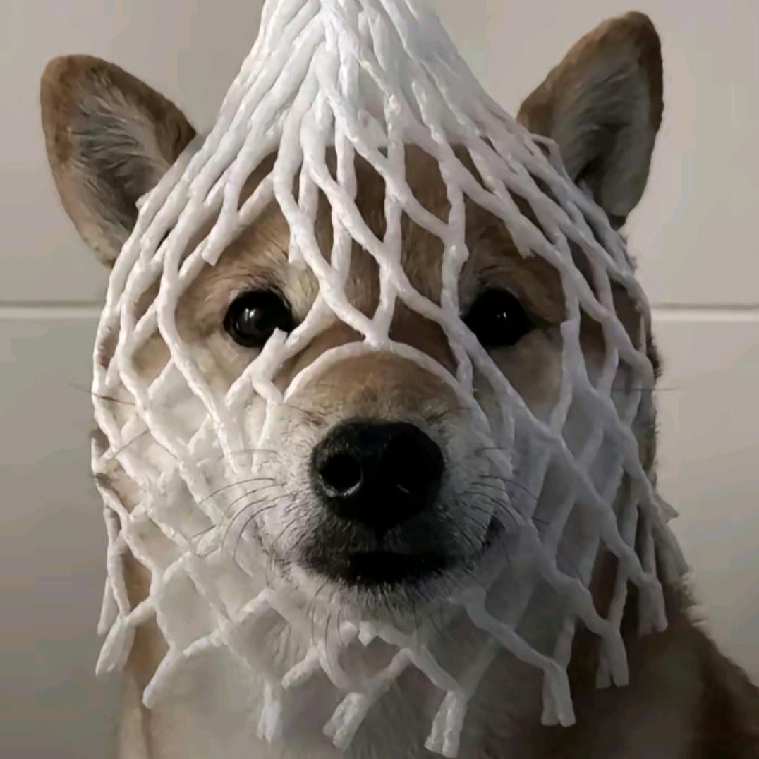 变成机器人🤖头像