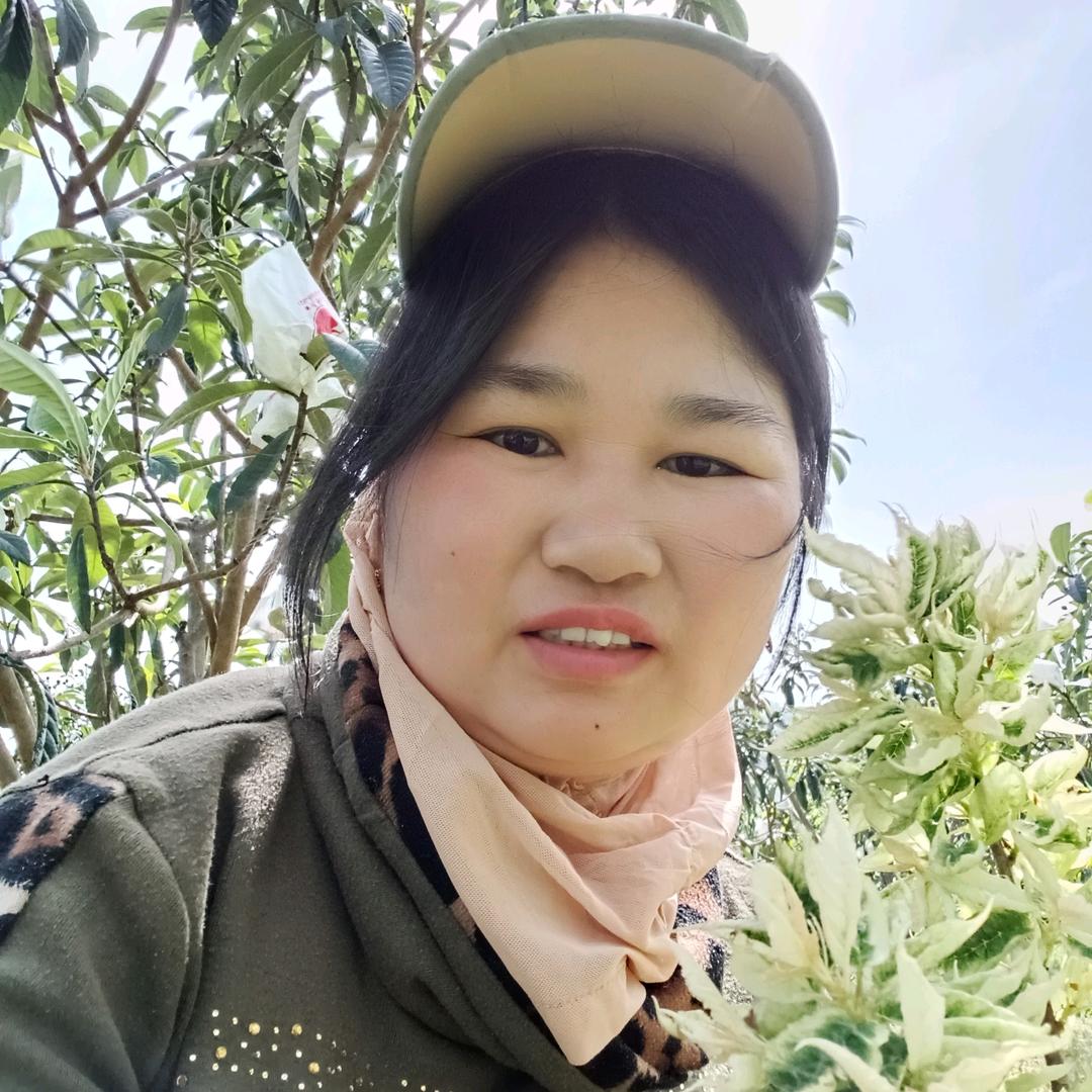罗艳(枇杷)