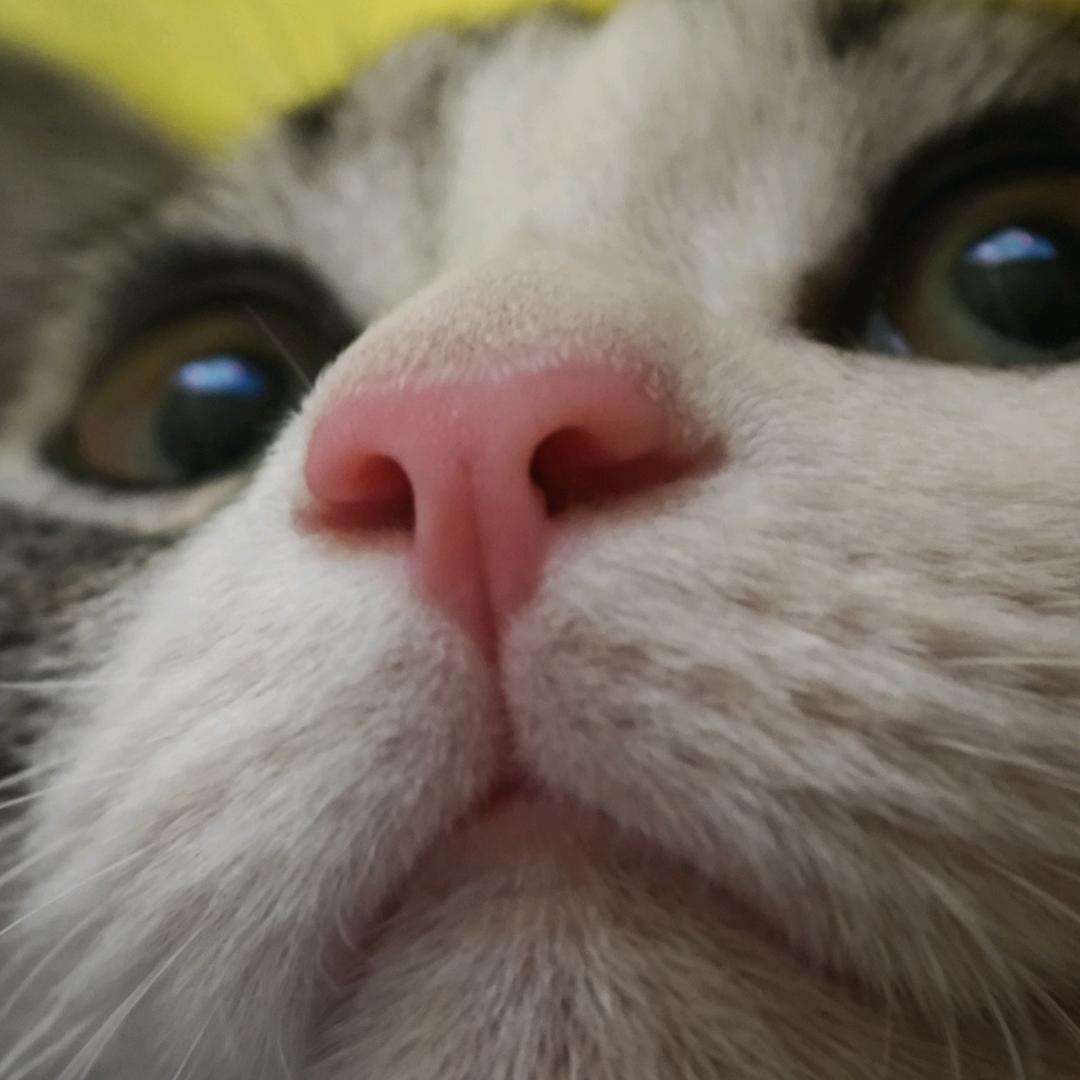大富