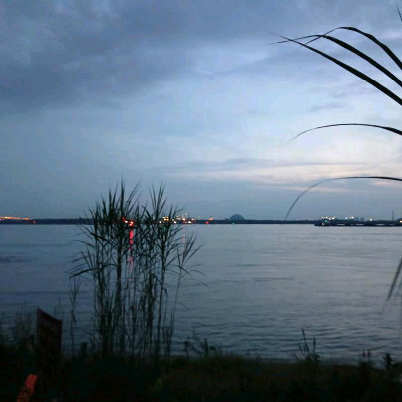 阳光彩虹小白马