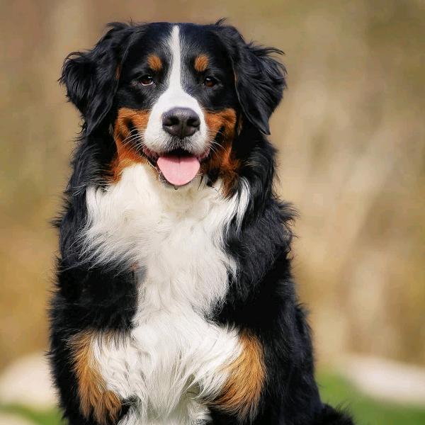 开开心心做好自己