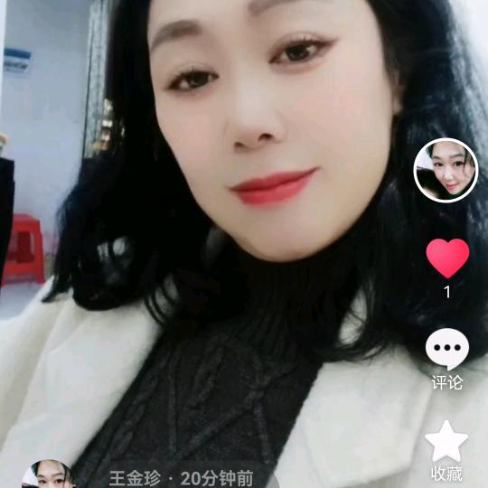 王金珍
