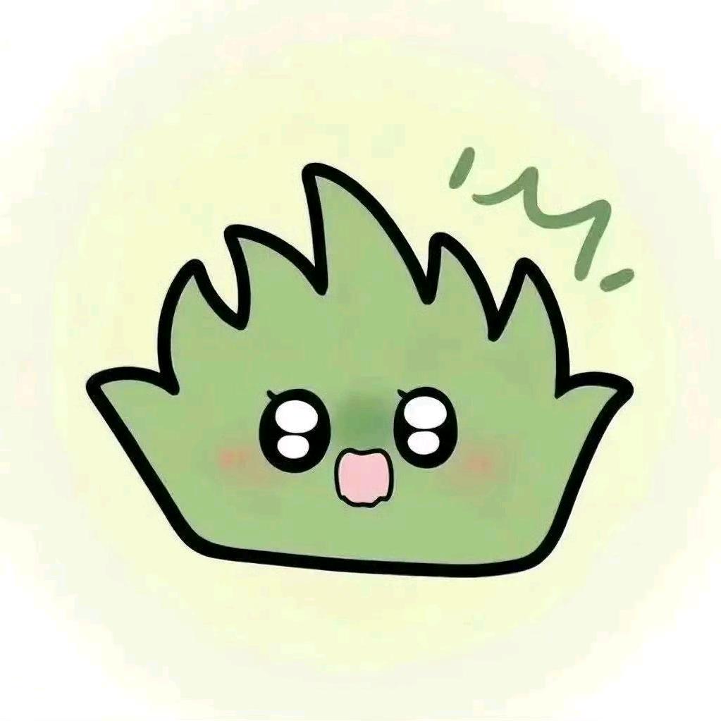 不感冒小任