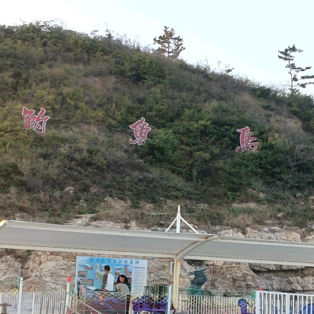 亮剑李