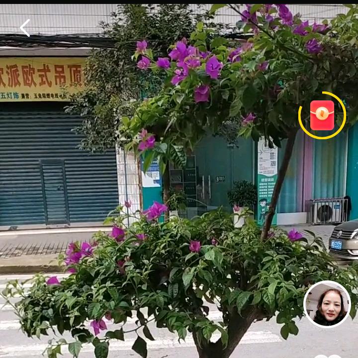 98884562流行
