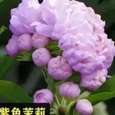 🌈大海宽广🔥