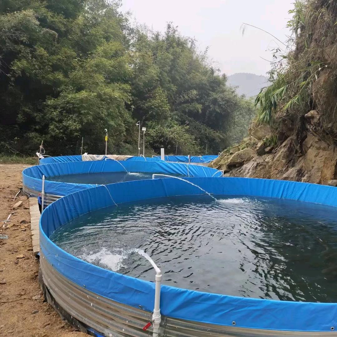 四会市山泉吊水鱼场基地 2