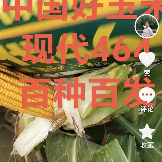 芳姐聊农业