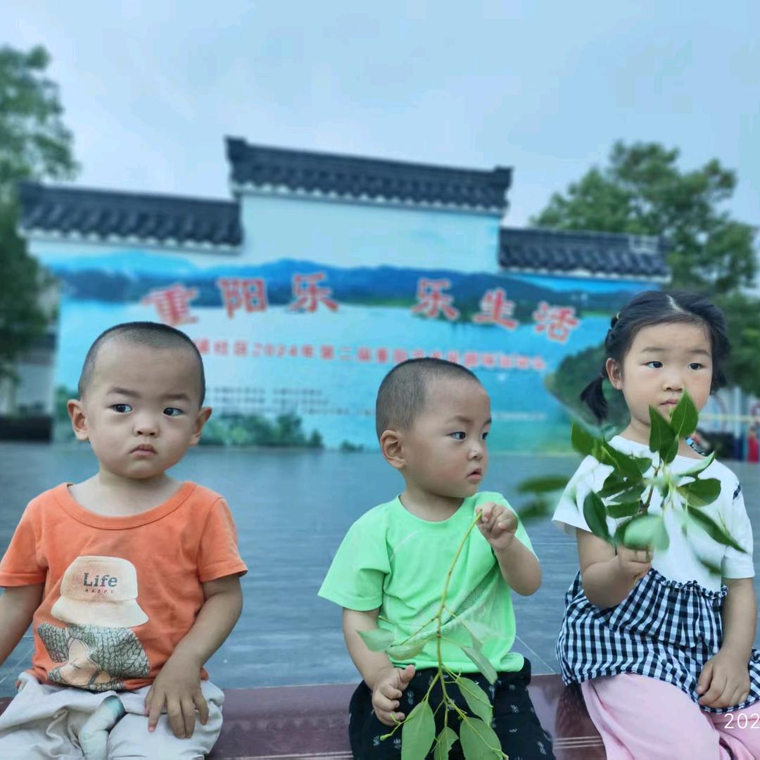 数学壹壹老师