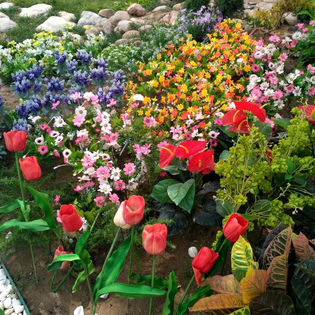 🌸🍀冬妮🍀🌸