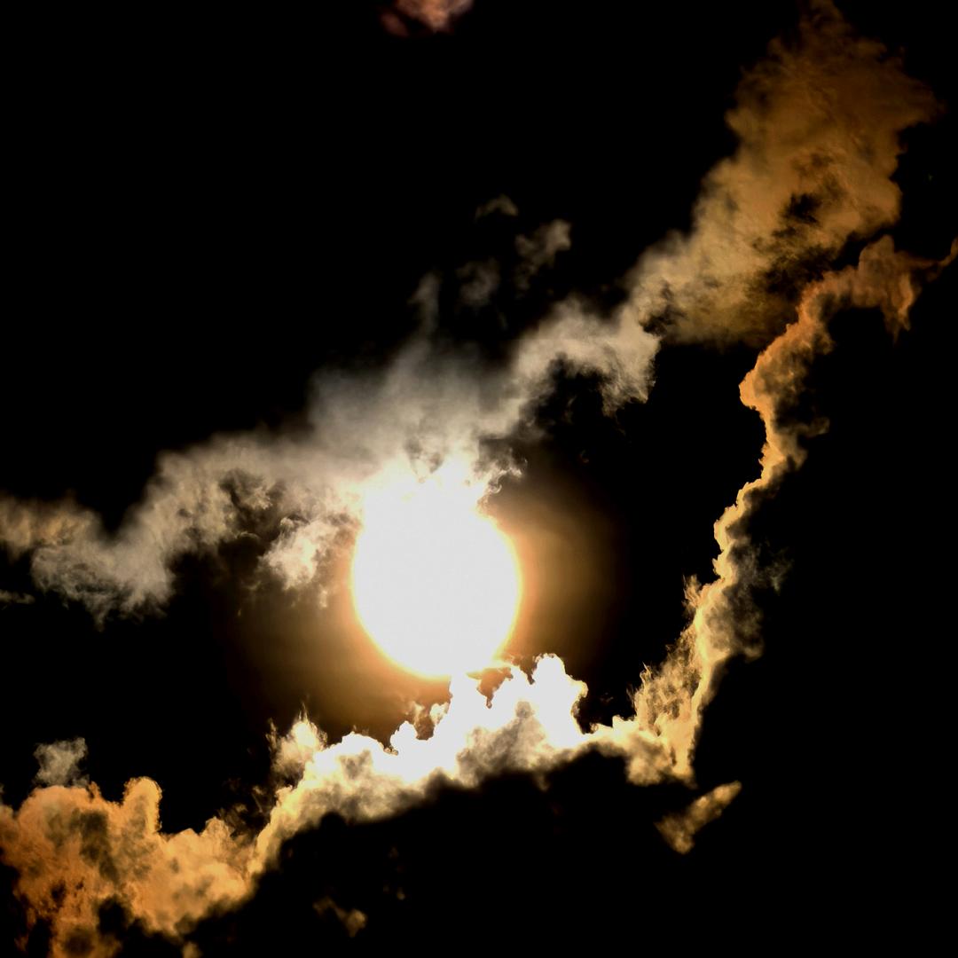 再拉的主播也泡不到