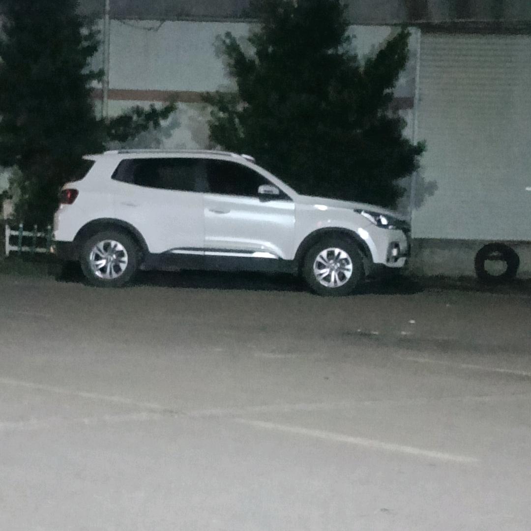 情随缘