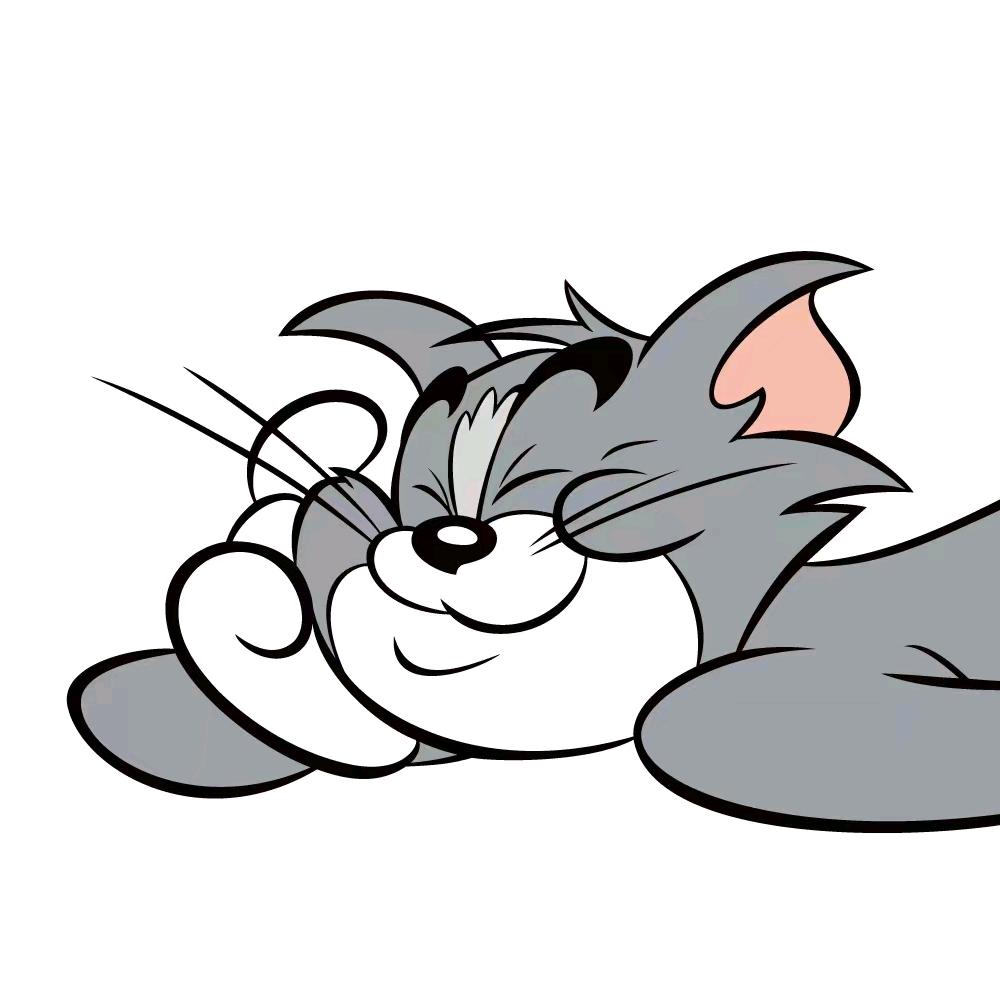 小竹...（入坑版）