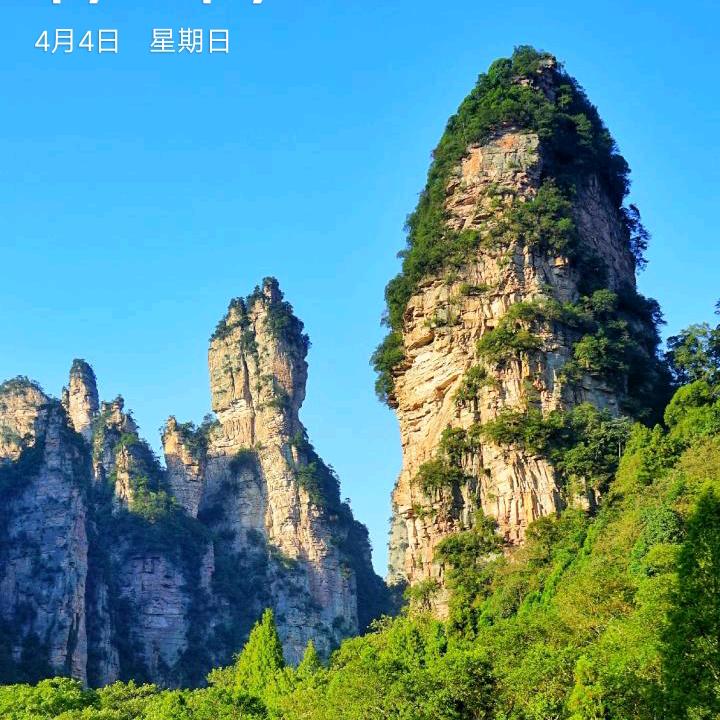 五谷杂粮乱劈才