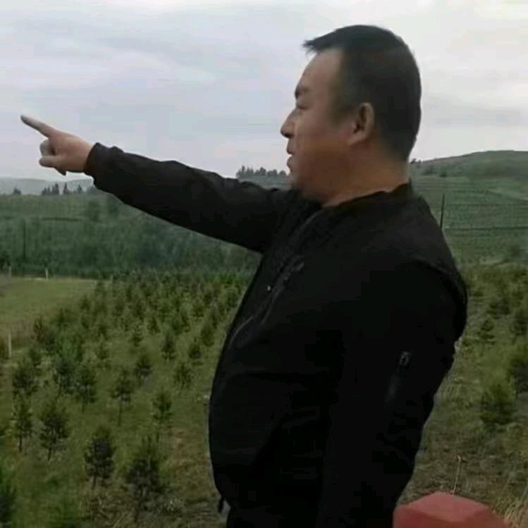 张北老付