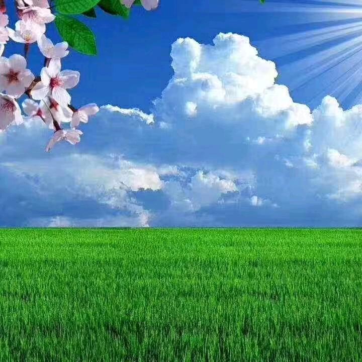 开心姐
