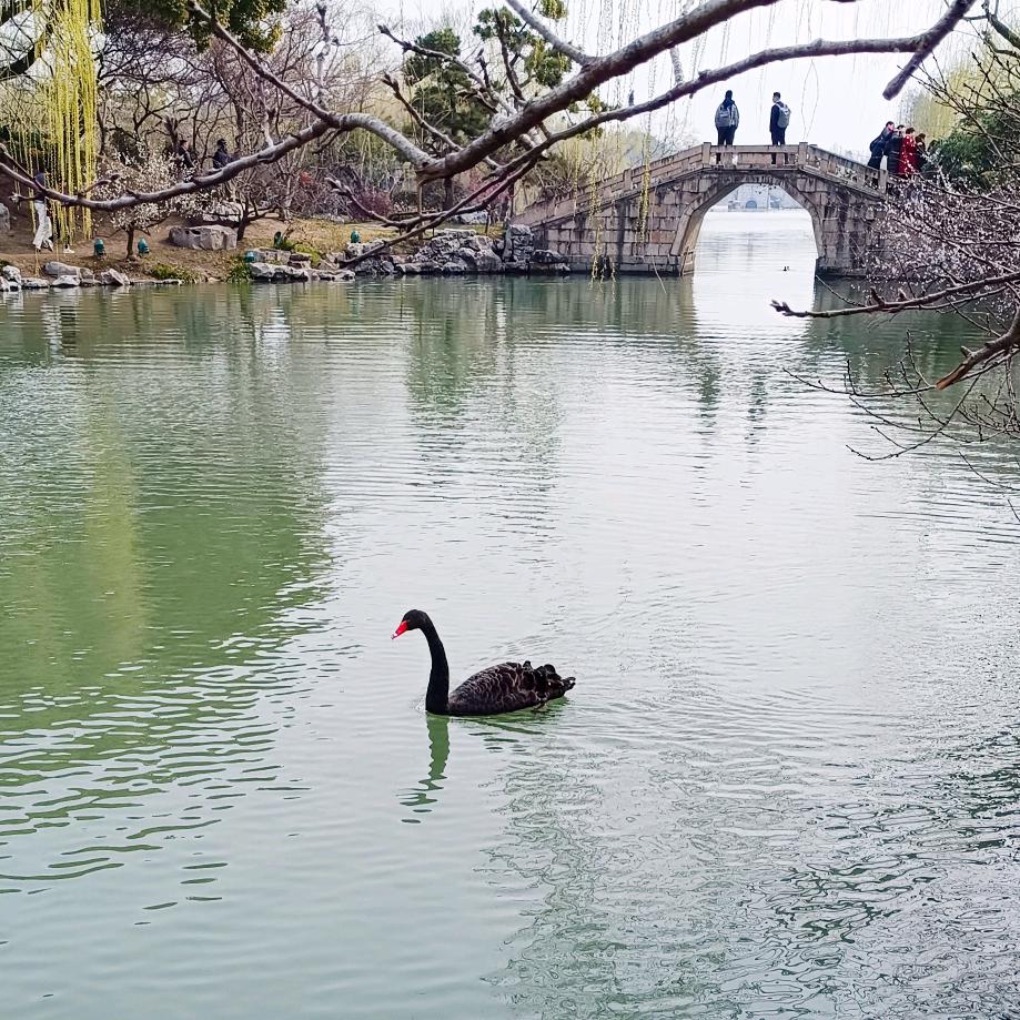 时光里里⏳🍷⏳