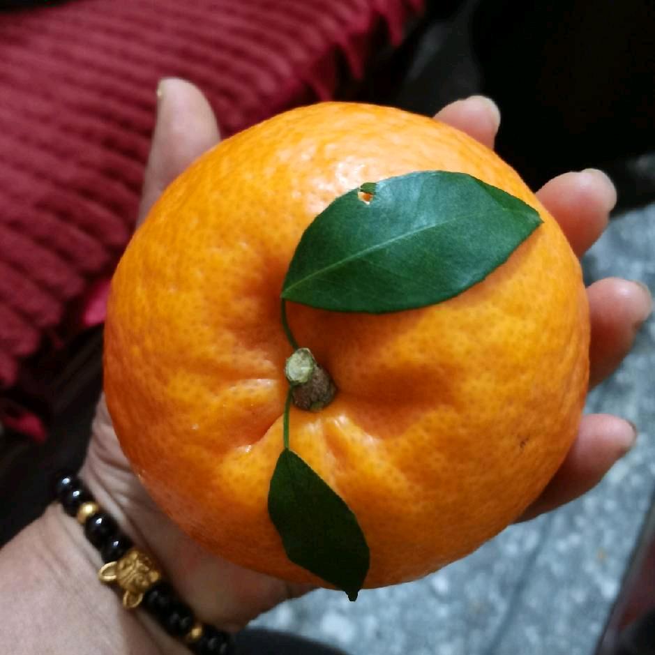 余生会更好