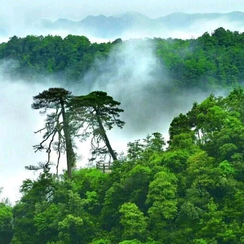 志同道合