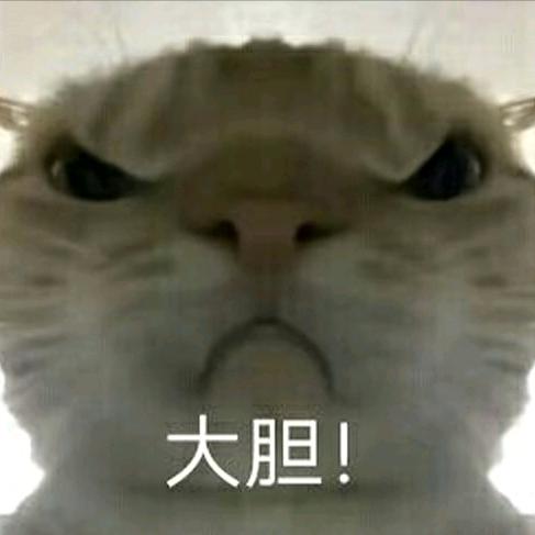 枫枫跑刀