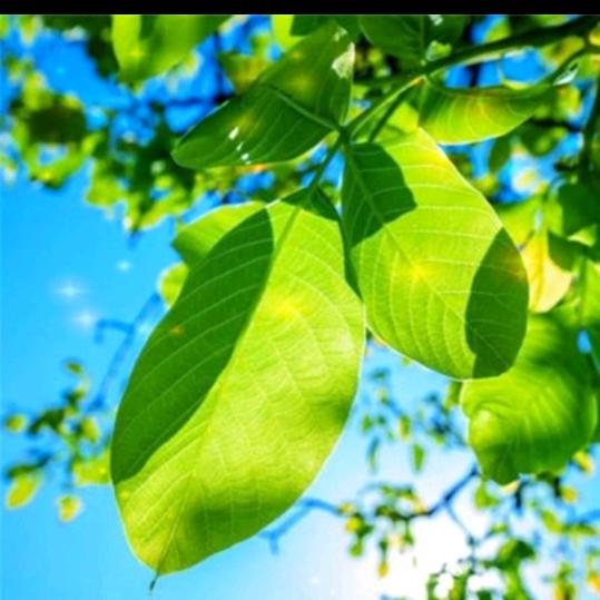 风中承诺的朋友圈