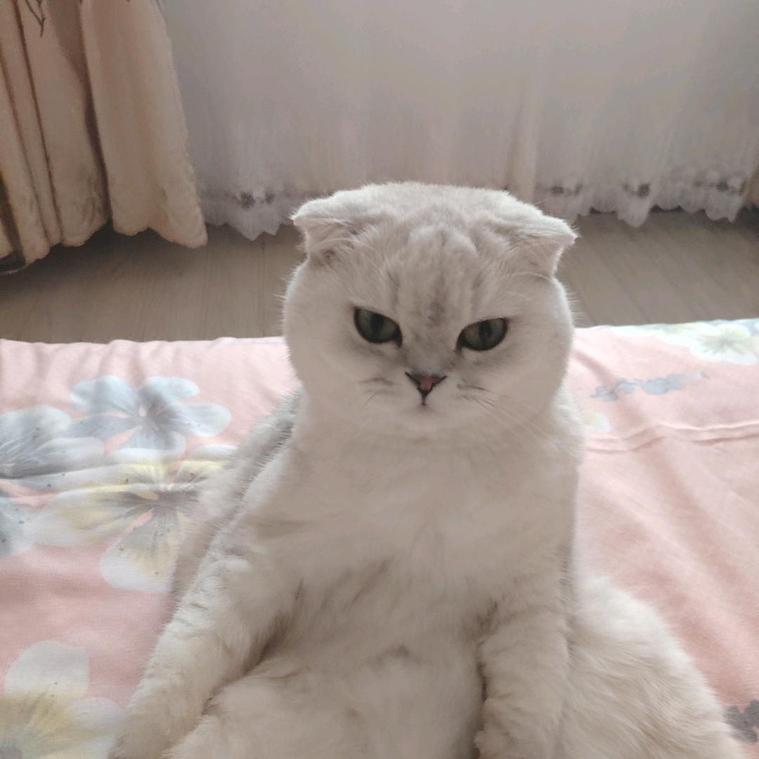 在水一方