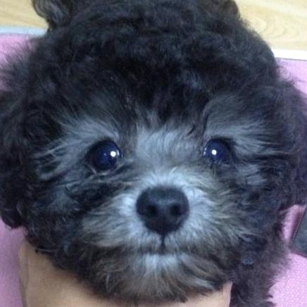 恩泰宠吧