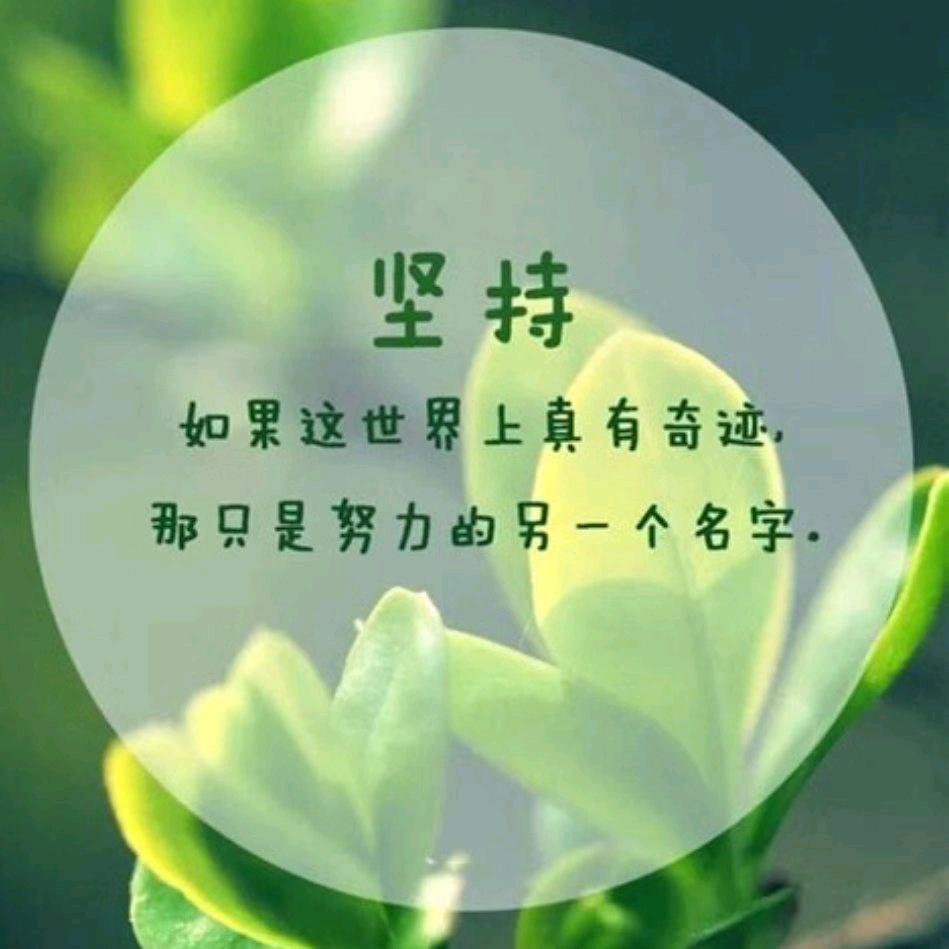 清茶小屋