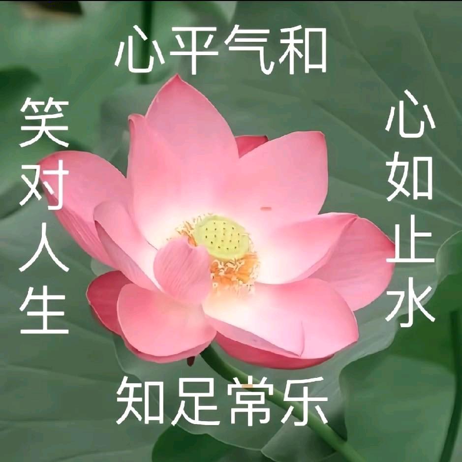 修心养性（高邮）
