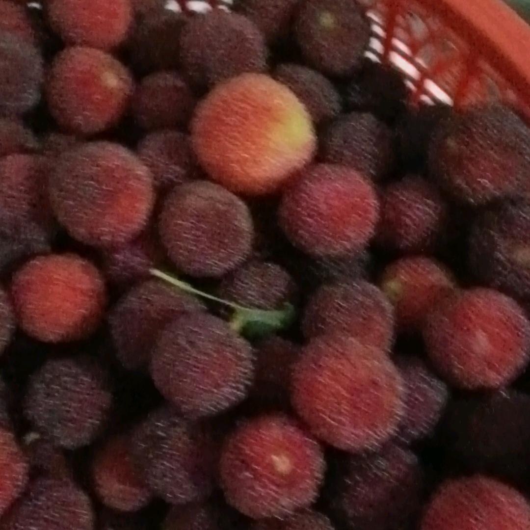 心痛了，谁懂我？