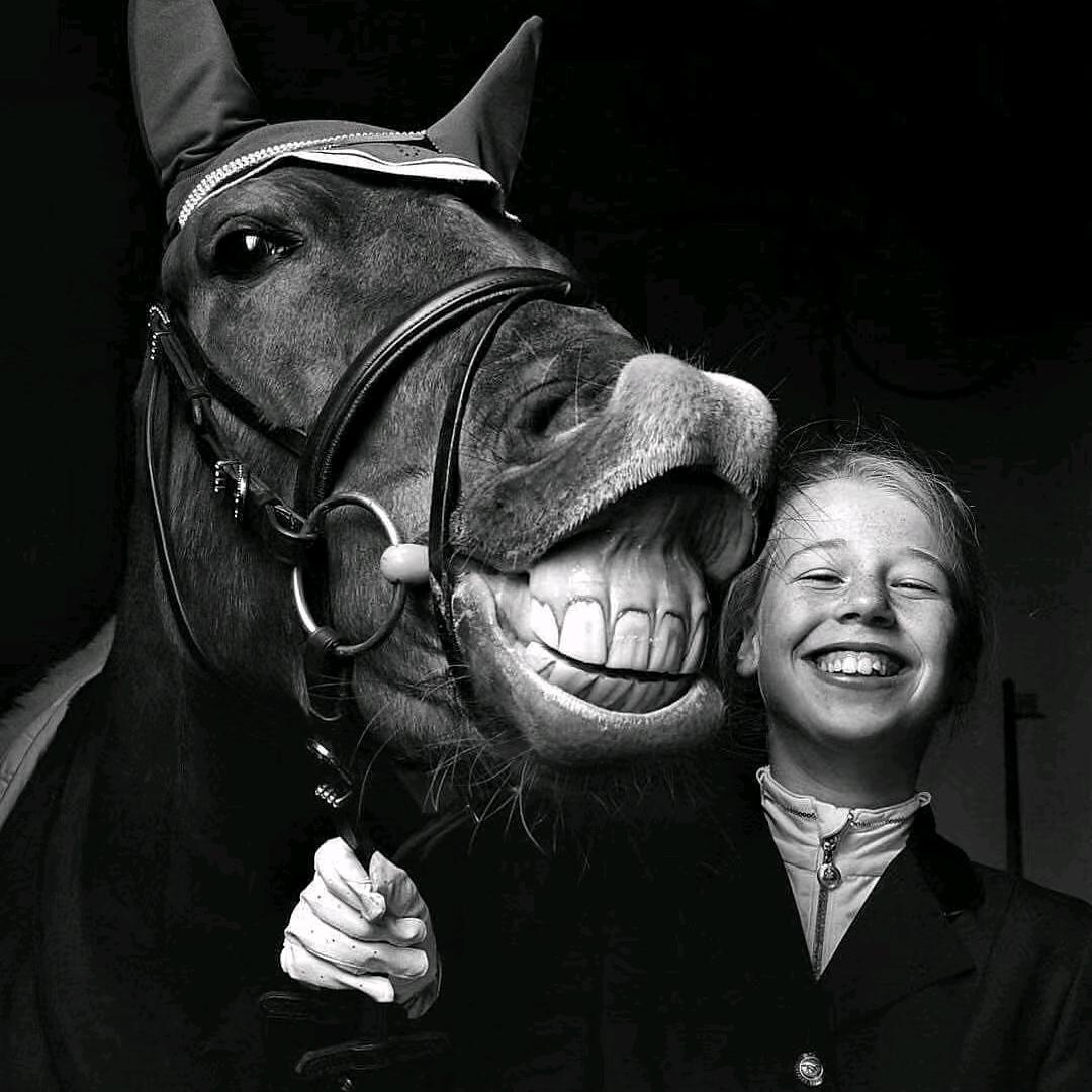 𝑭𝒆𝒆𝒍𝒊𝒏𝒈𝒔