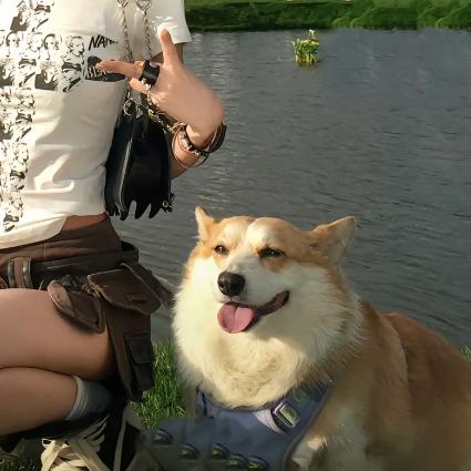 发现老婆是姛后主动变为4i小狗