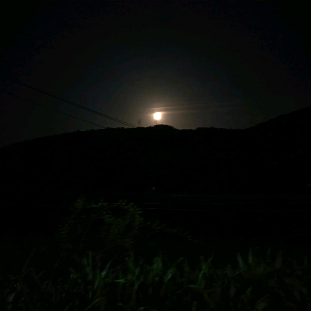 秦虎牧业