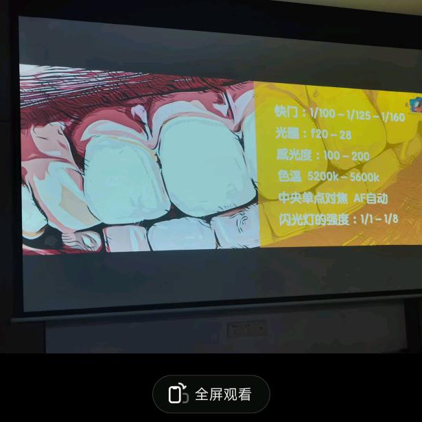 Dr·小蚂蚁