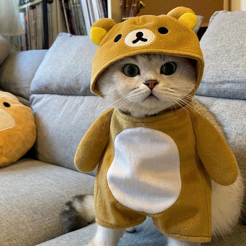 王子