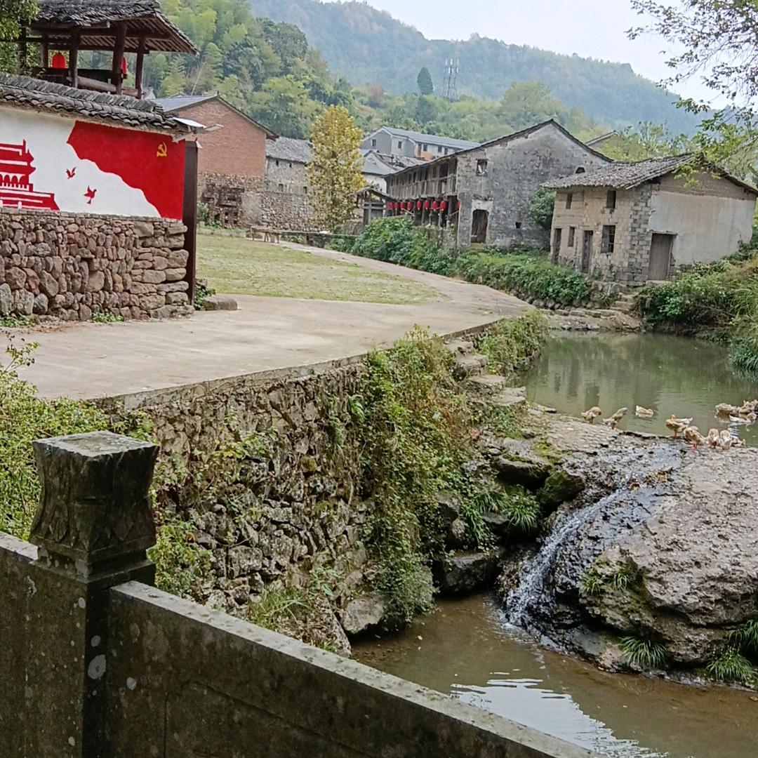 沧海横流