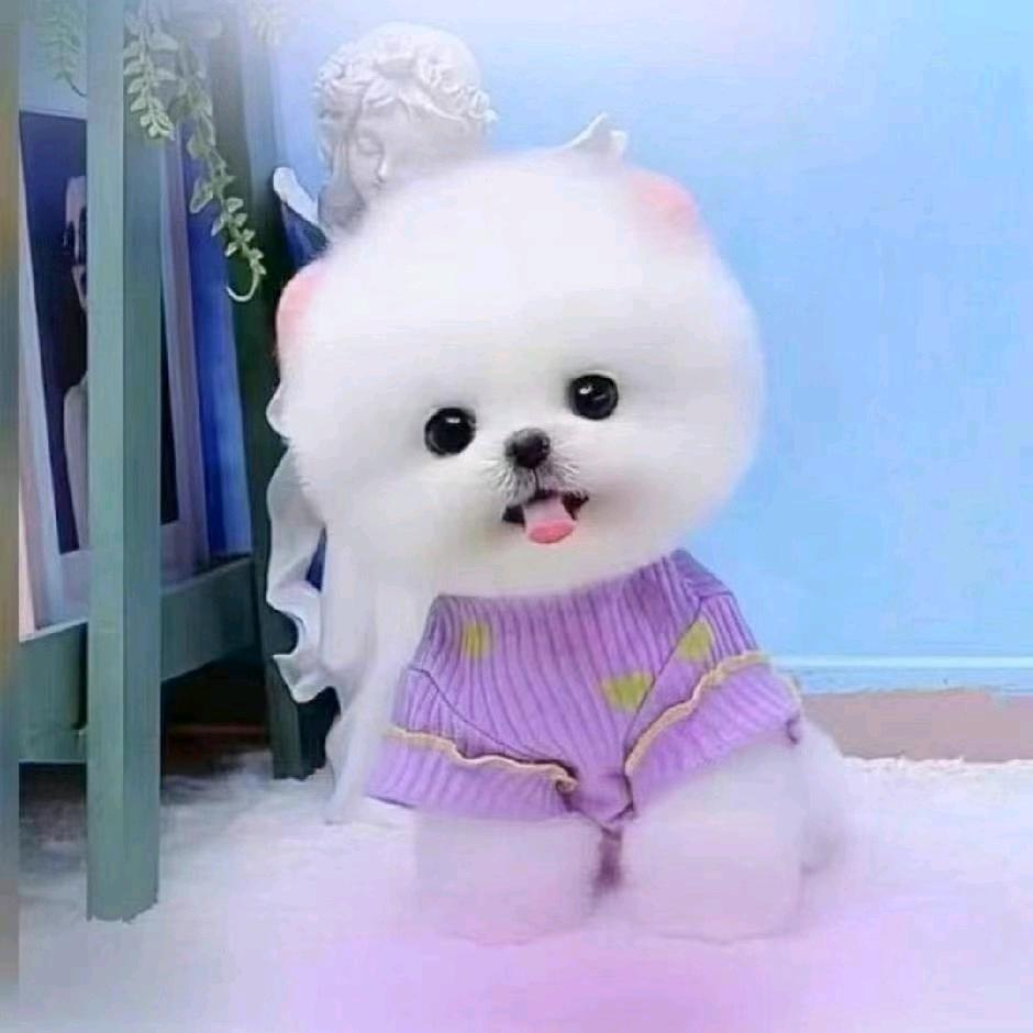 心若向阳何来畏惧