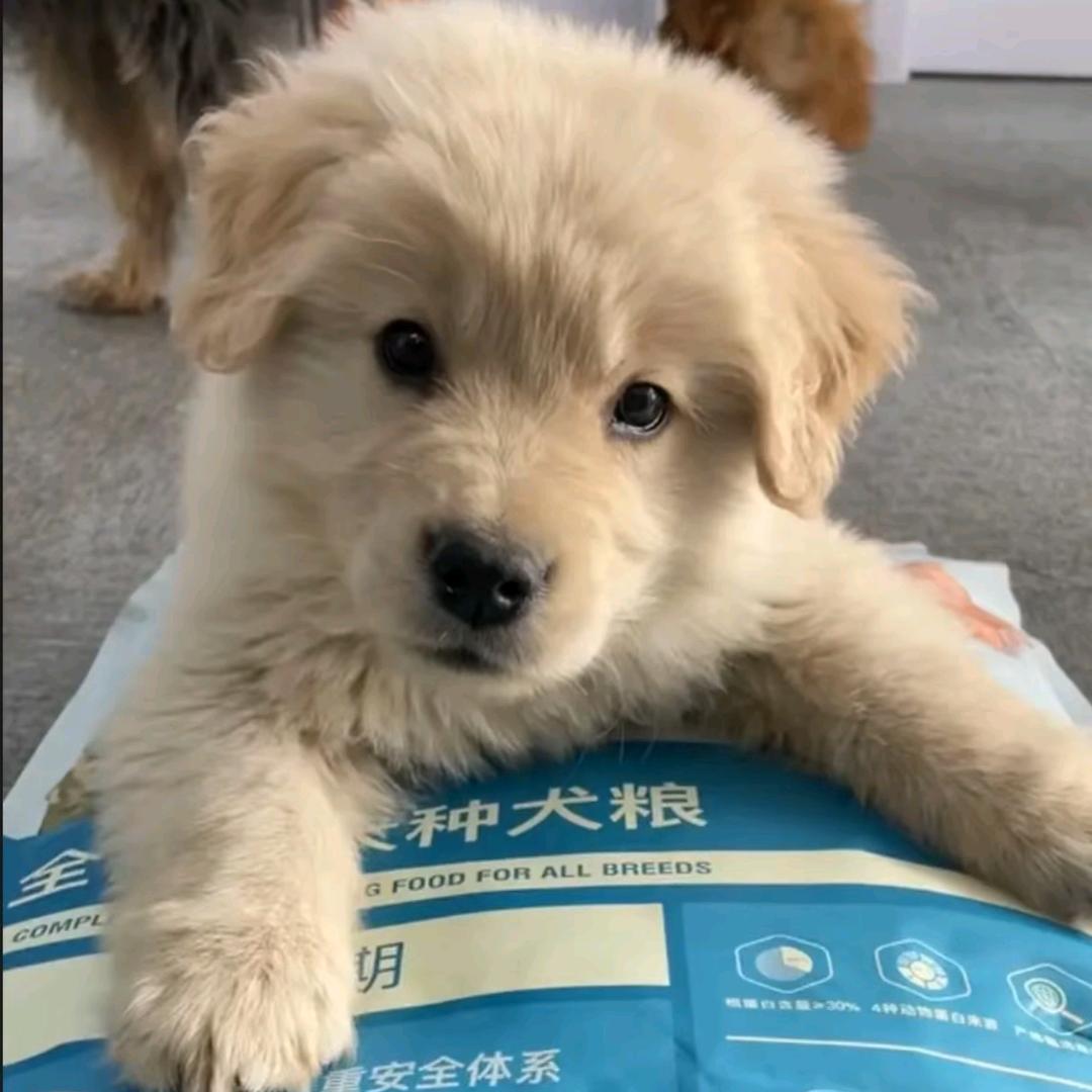 欣  欣