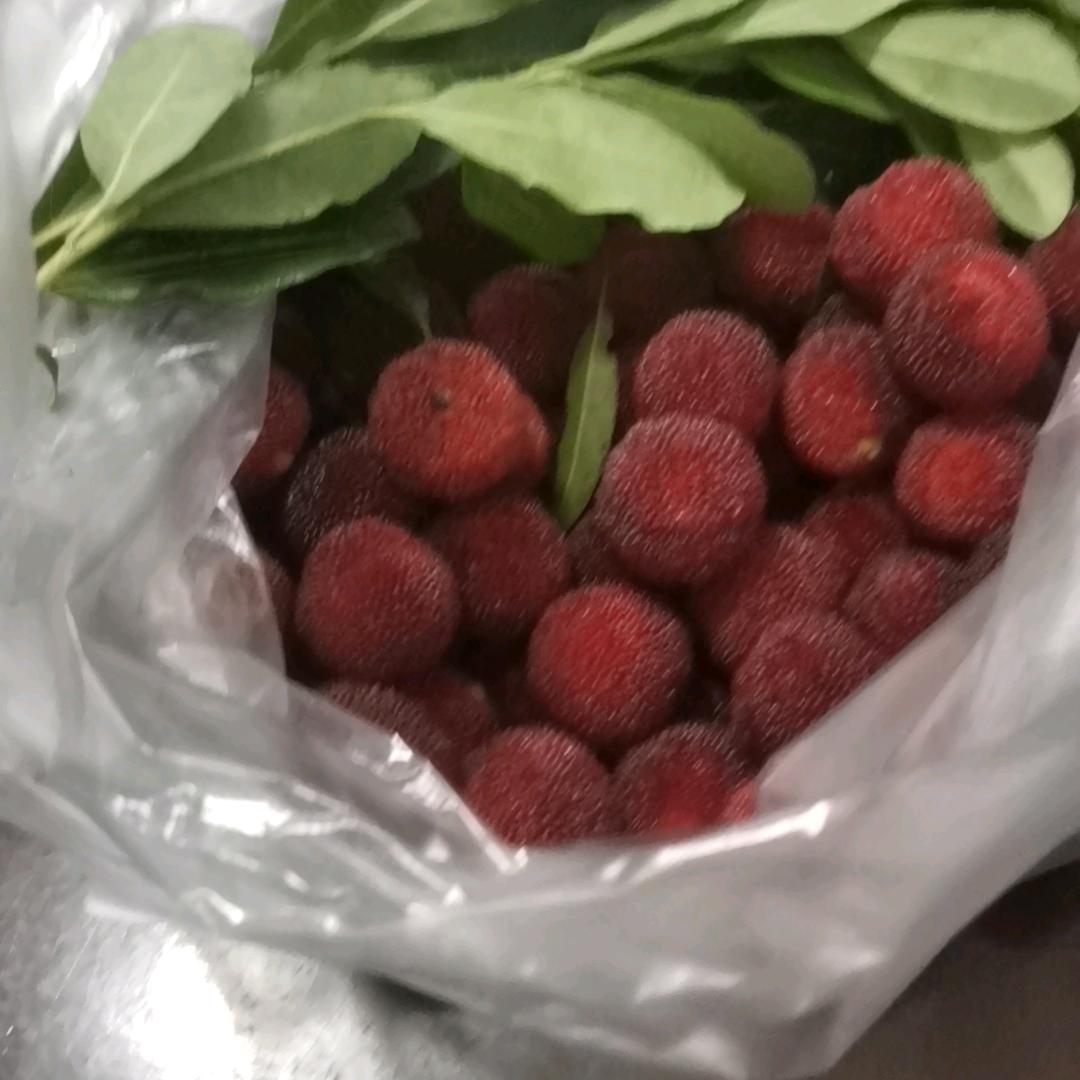 柒柒