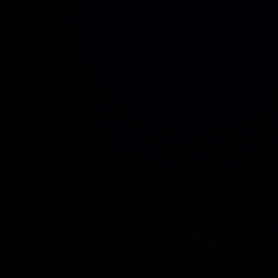 鹿人